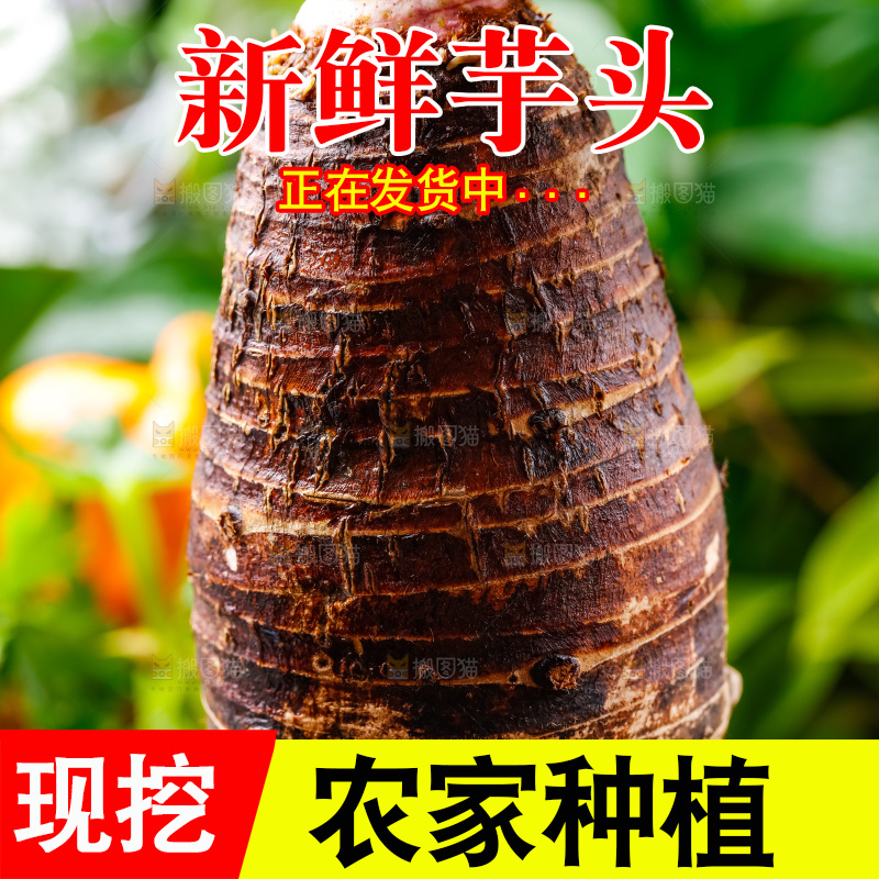 竹篮上放着广西荔浦芋头
