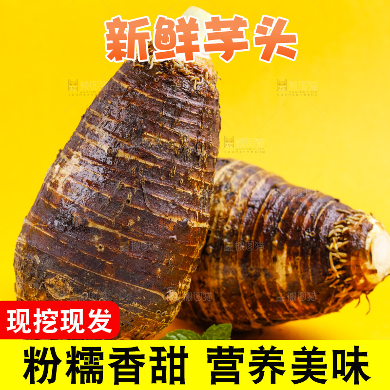 黄底上放着紫藤毛芋