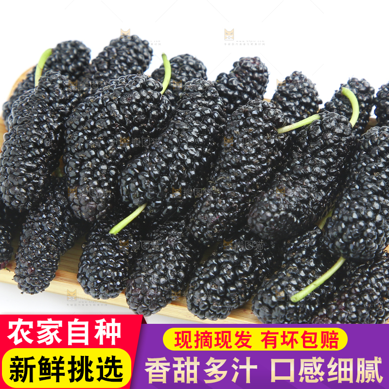 白底上放着一木盘桑果
