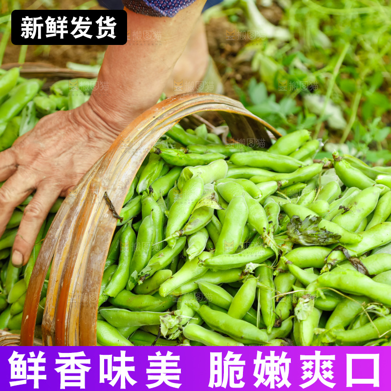 篮子里装着蚕豆