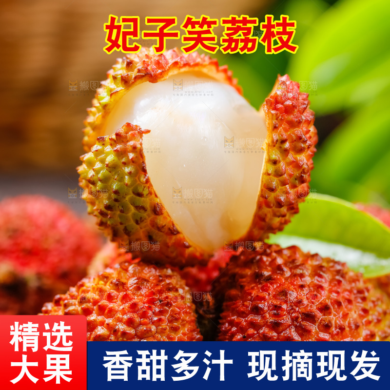 木架上的妃子笑
