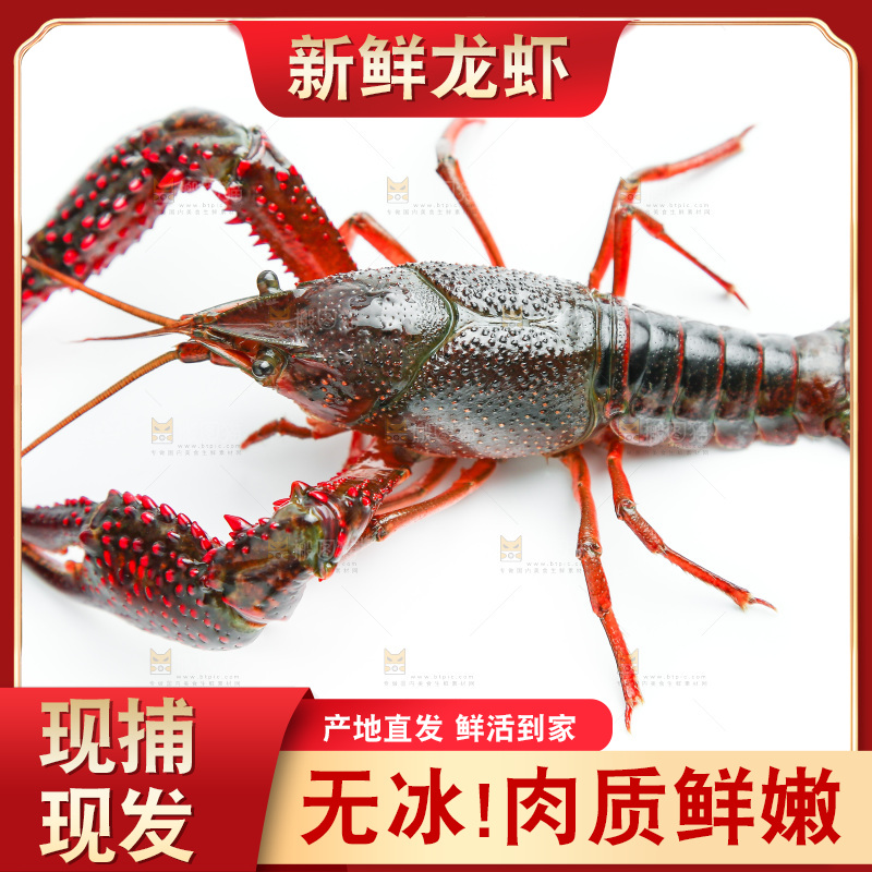 白底上放着小龙虾