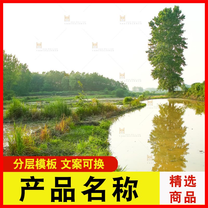 水稻田地