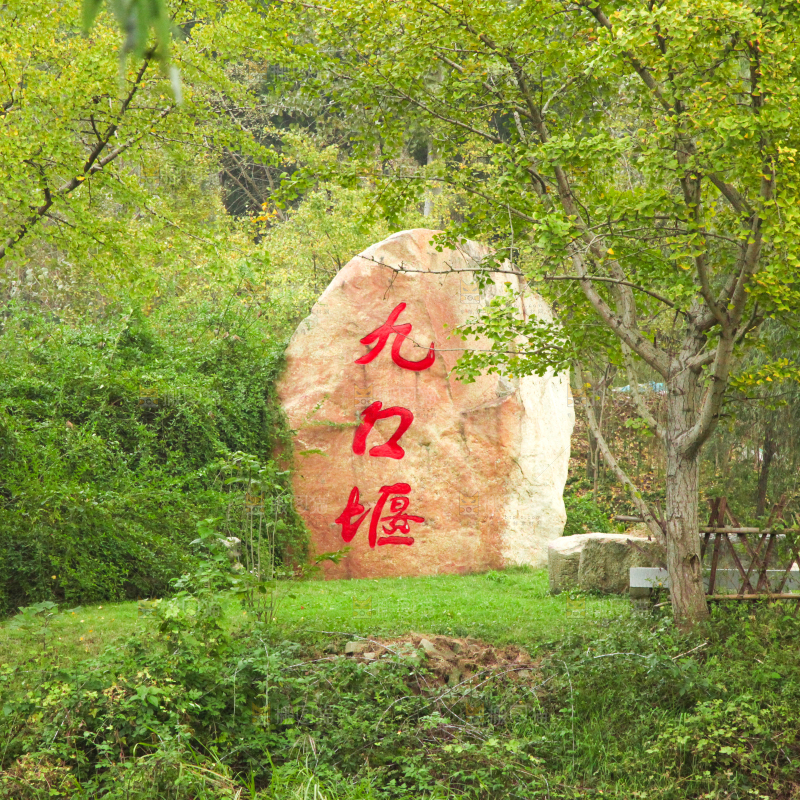 林子里的石碑
