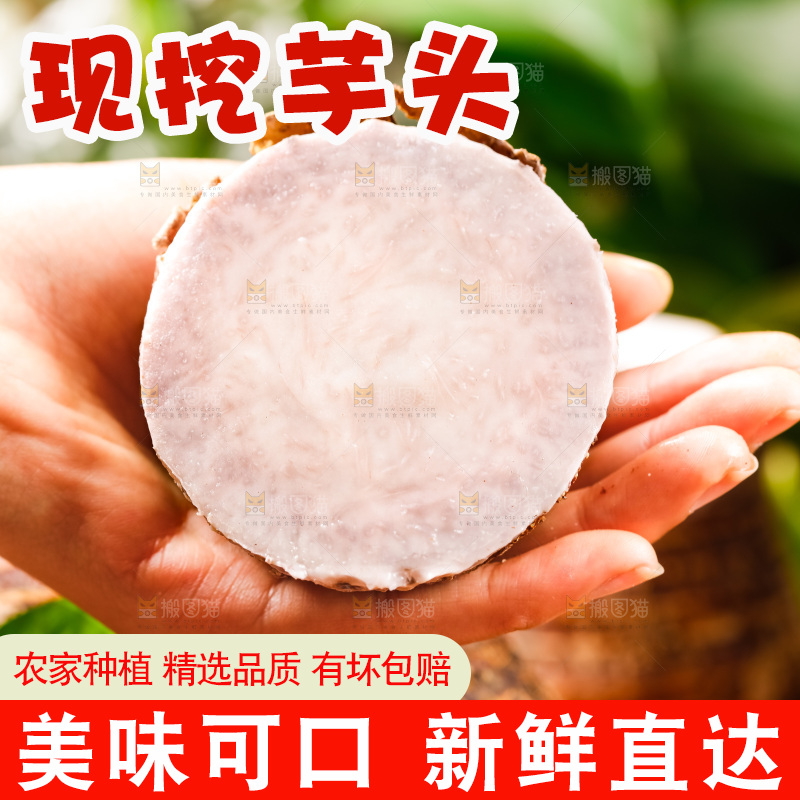手上放着荔浦芋头