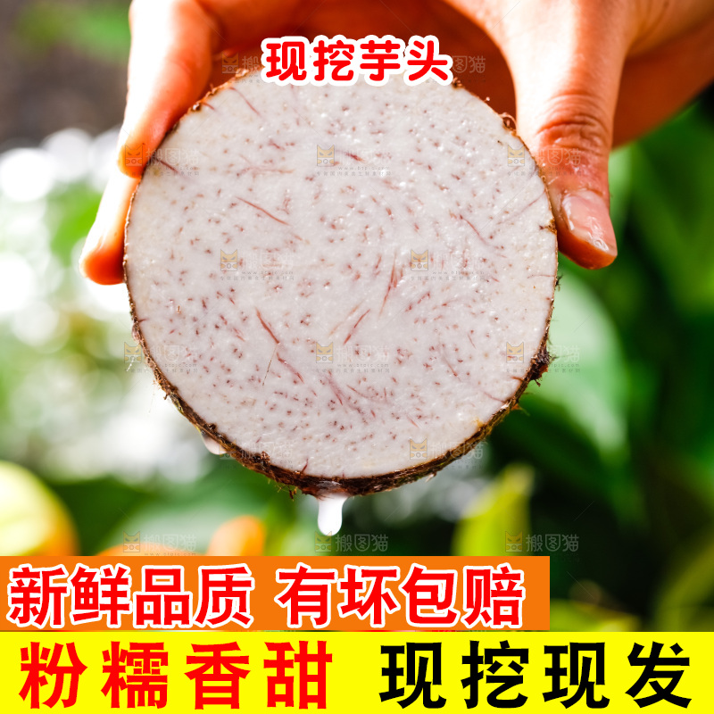 手上拿着槟榔芋切片