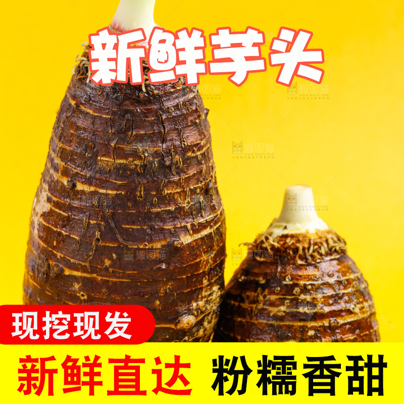 黄底上放着紫藤毛芋