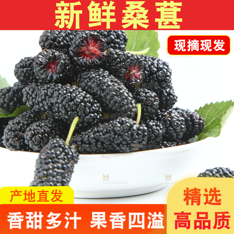 白底上放着一大盘桑葚