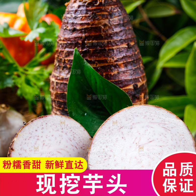 木底上放着广西荔浦芋头
