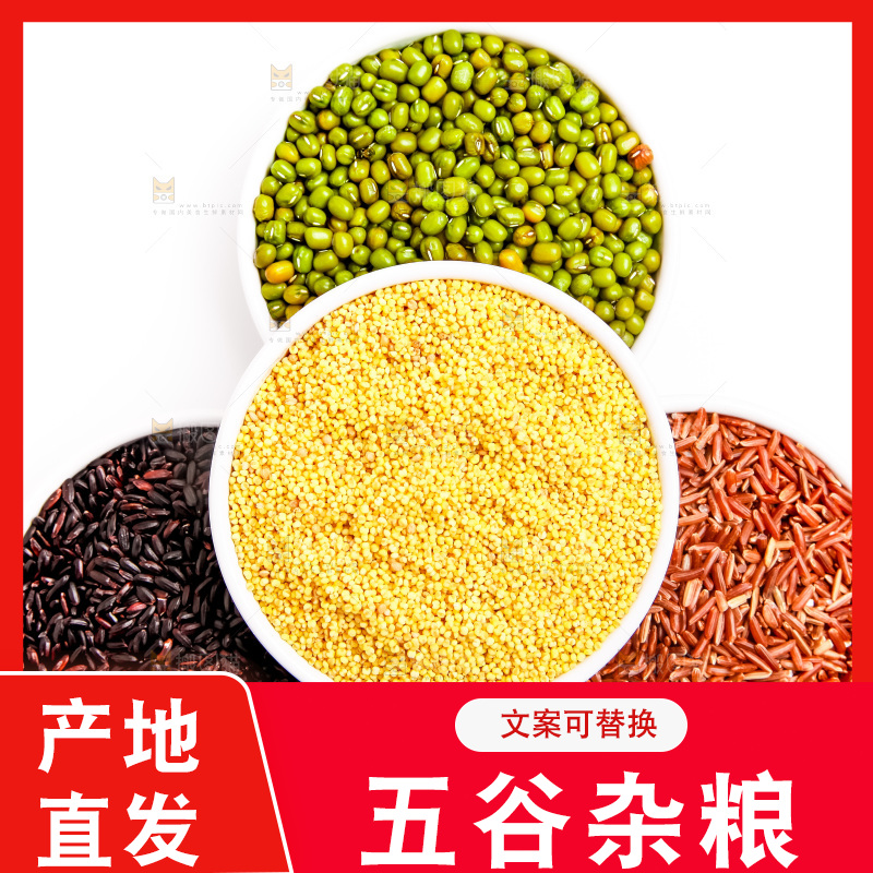 白底上的五谷食材