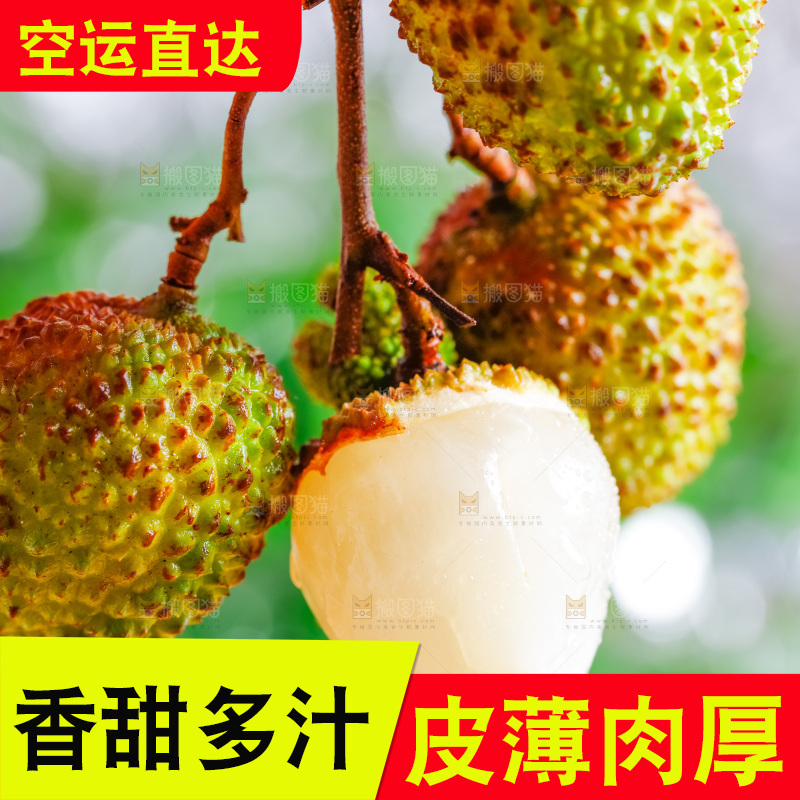 一串妃子笑展示