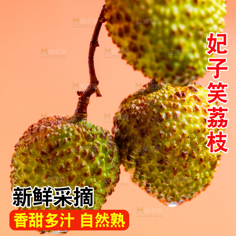 一串海南妃子笑