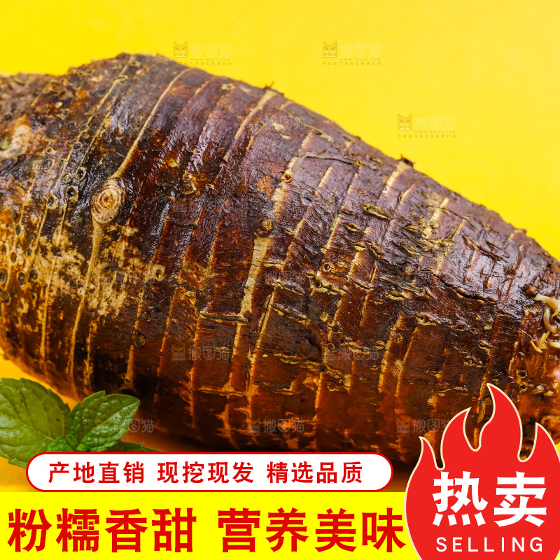 黄底上放着紫藤毛芋