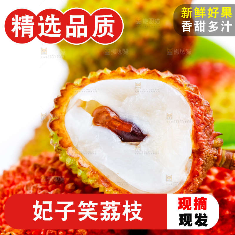 白底上的海南妃子笑果肉果核展示