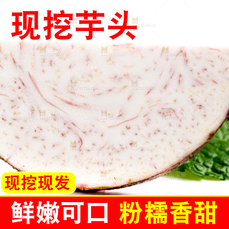 白底上的荔浦芋头