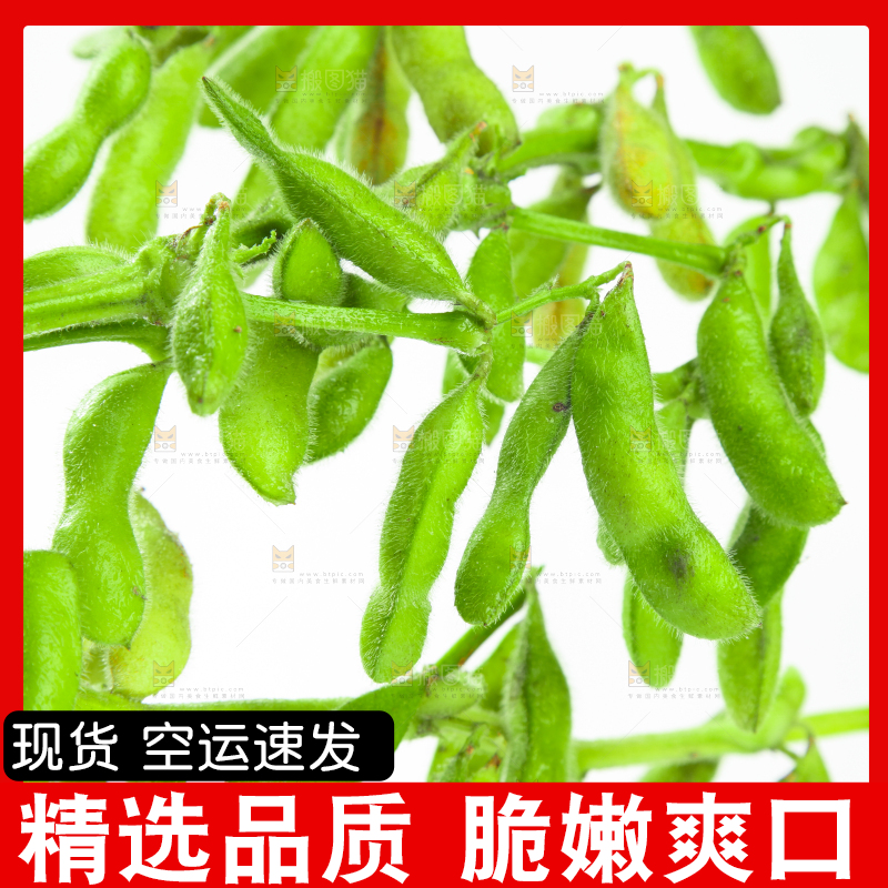 白底上的毛豆