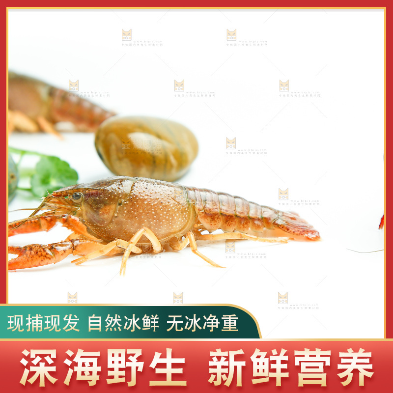 白底上放着小龙虾
