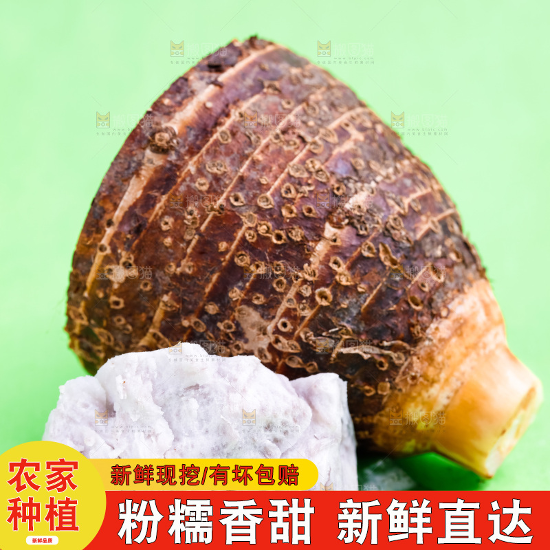 绿底上放着荔浦芋头