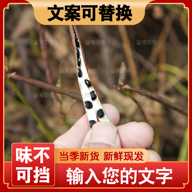 手里拿着绿豆