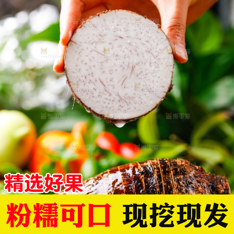 手上拿着槟榔芋切片