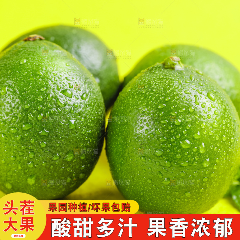 黄底上放着四个新鲜青柠檬
