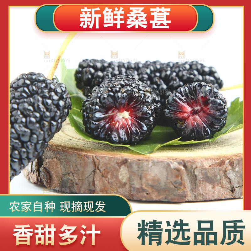 白底上放着桑葚