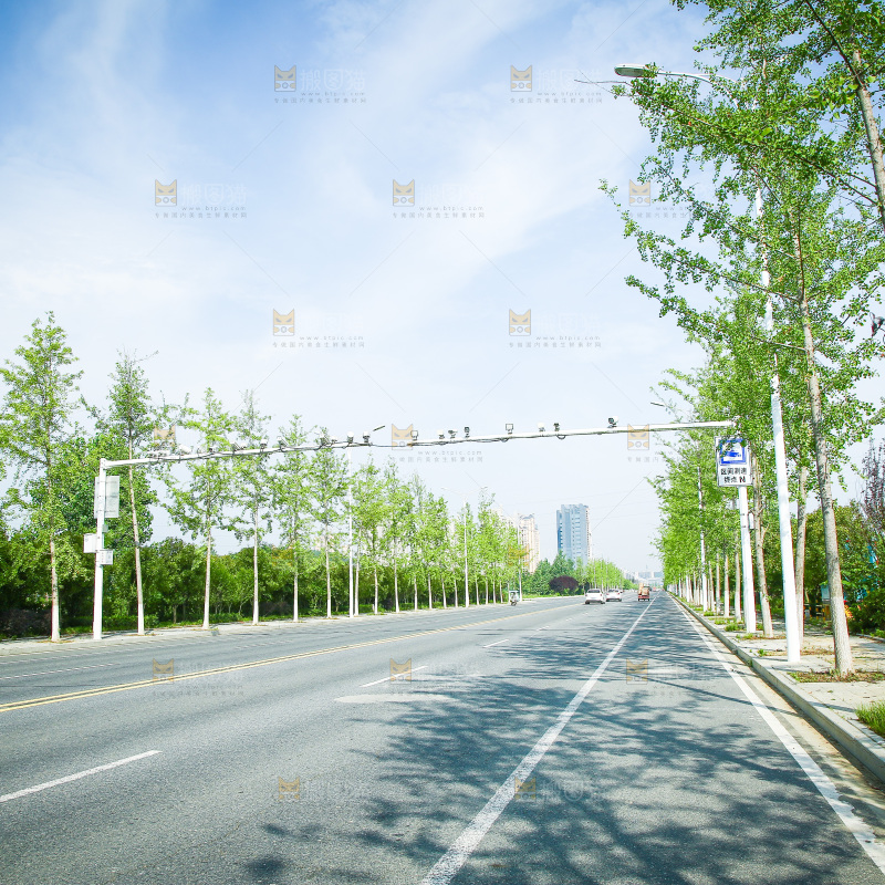 一条公路