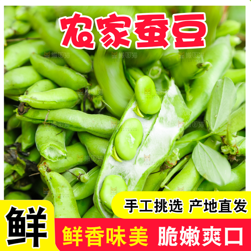篮子里装着蚕豆