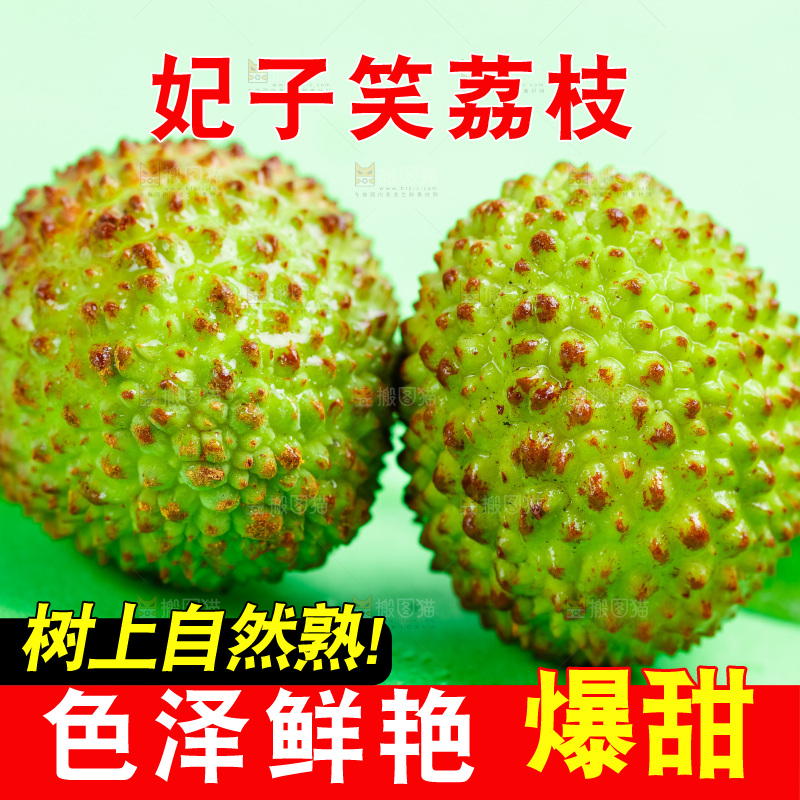 绿底上放着妃子笑荔枝
