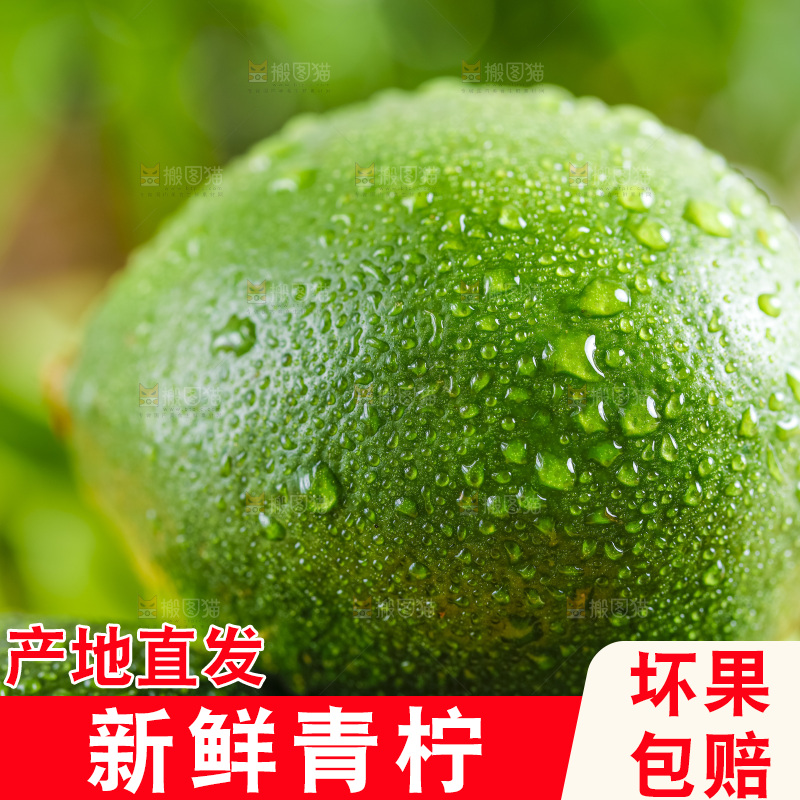 青柠檬特写