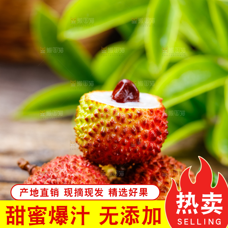 木底上的海南妃子笑