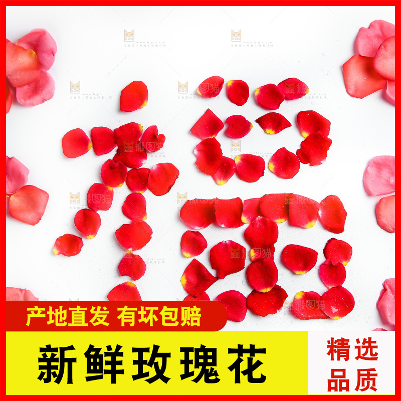 白底上的玫瑰花瓣