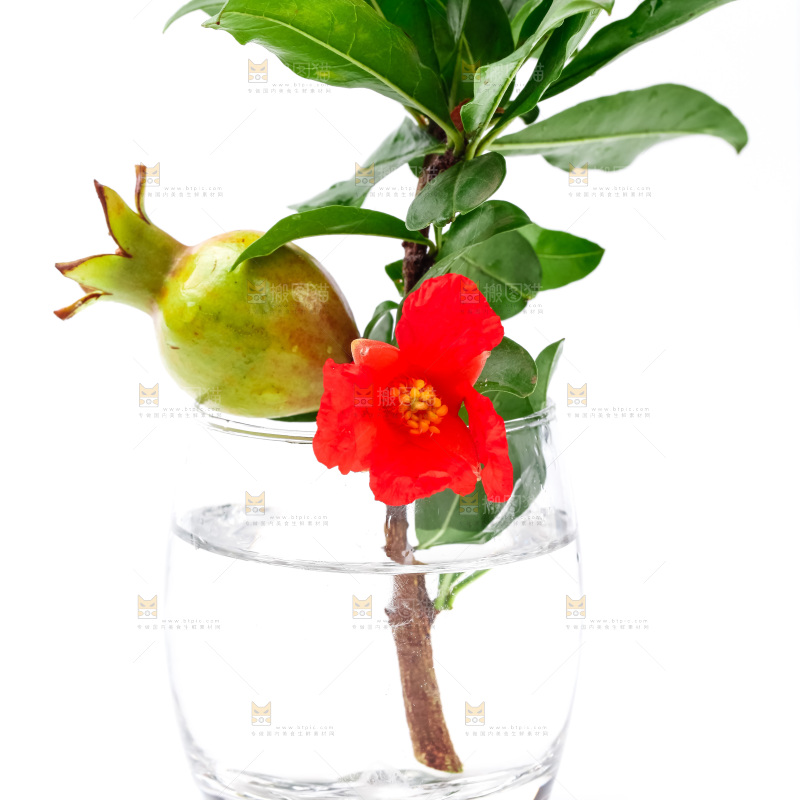 杯子里插着石榴花