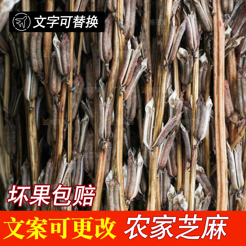 深底上的芝麻杆