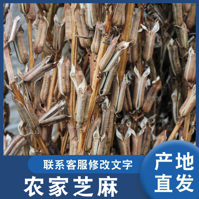 深底上的芝麻杆