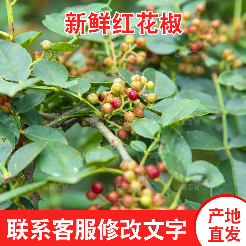 树上的花椒
