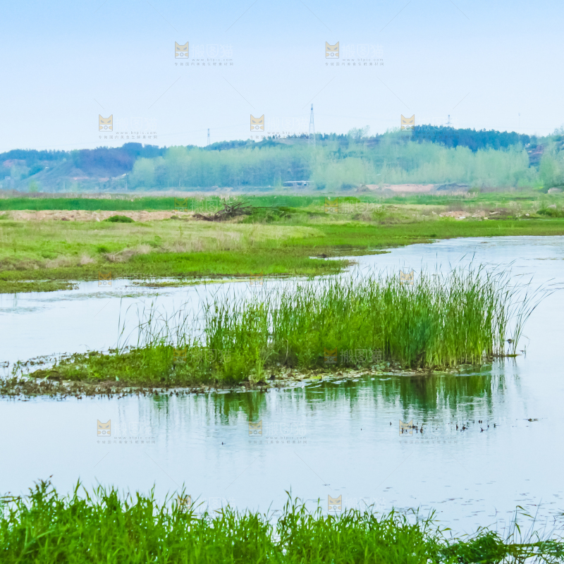 一条清澈的河流