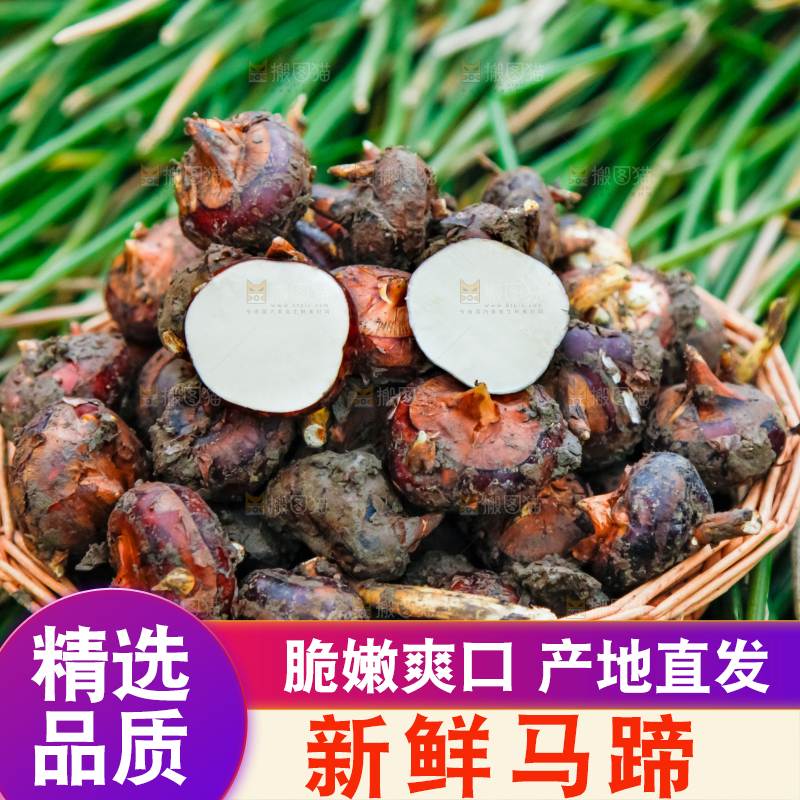 篮子里装着马蹄