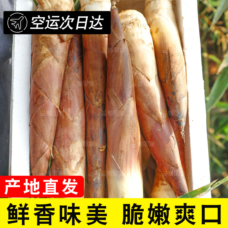 箱子里的雷笋