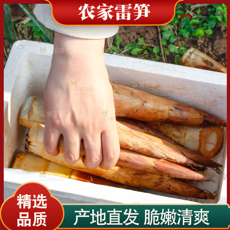 箱子里的雷笋