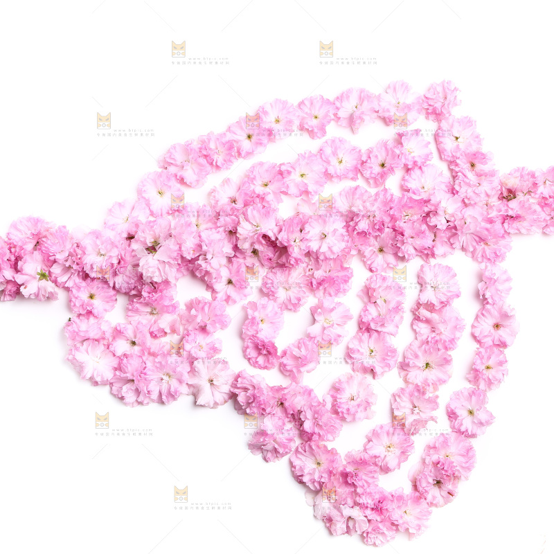 白底上的花朵