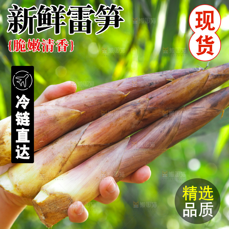 手里拿着雷笋