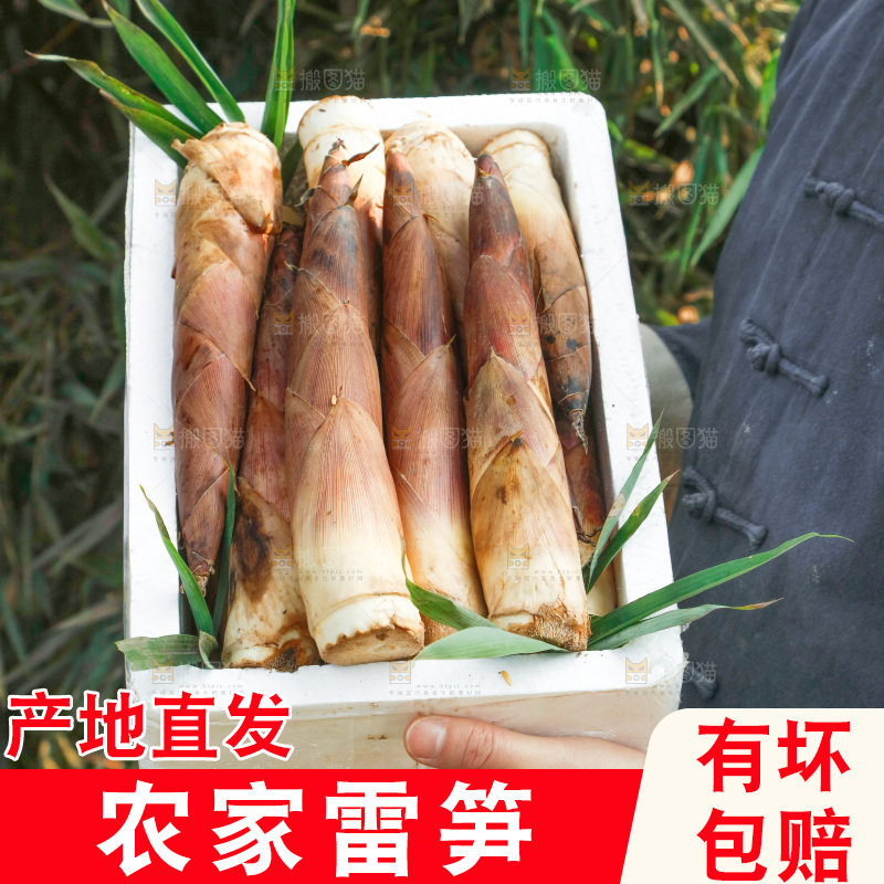 箱子里的雷笋