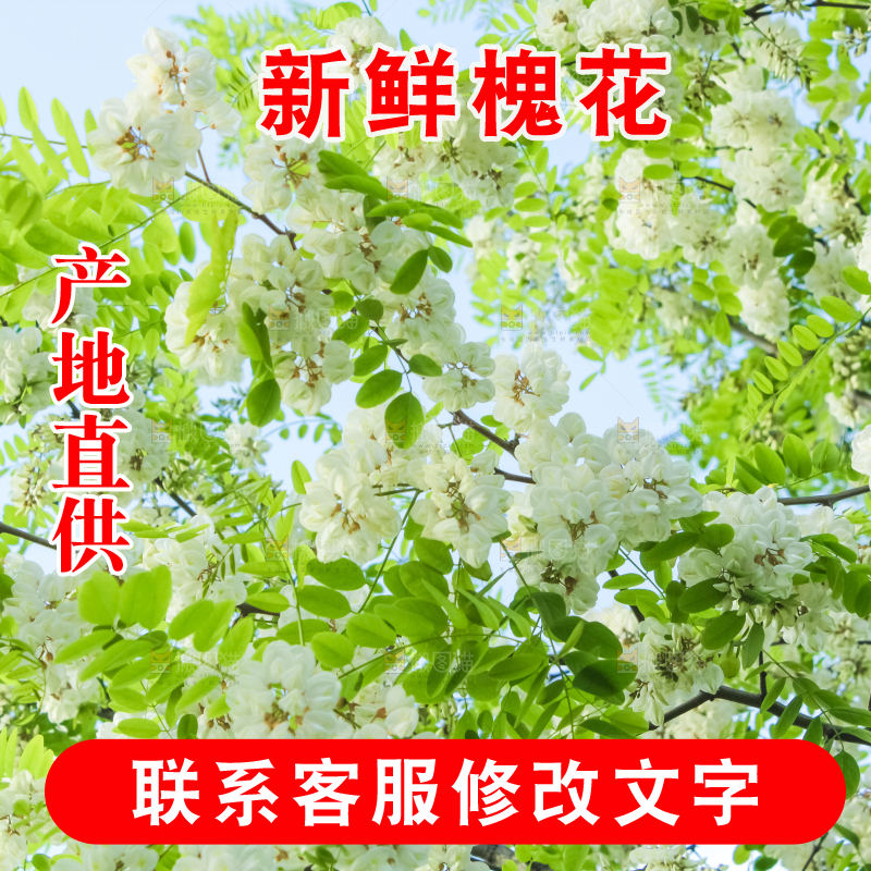 槐树槐花