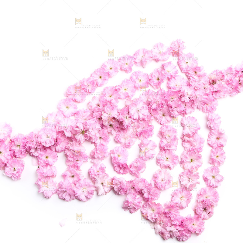 白底上的花朵