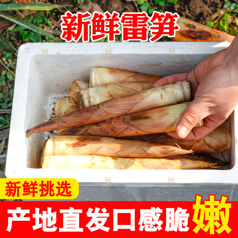 箱子里的雷笋