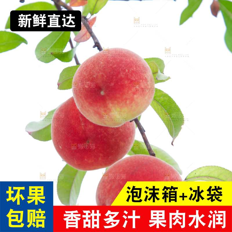 树上挂着桃子
