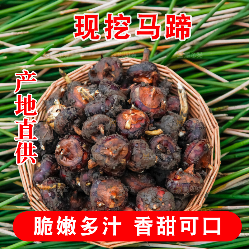 篮子里装着马蹄