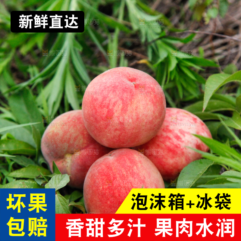 树上挂着桃子