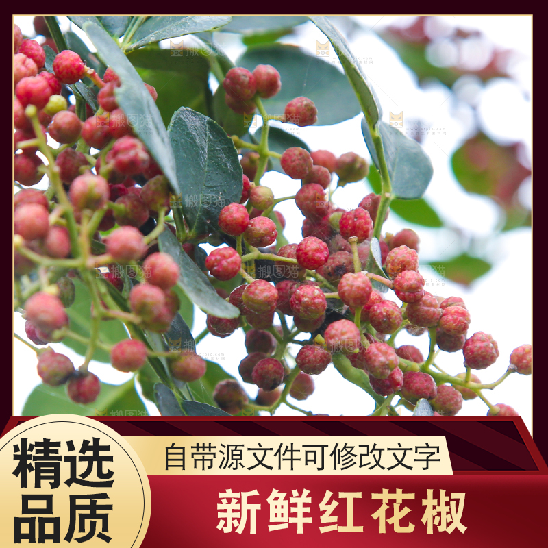 树上的花椒